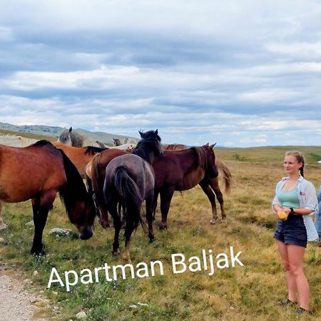 Apartman Baljak Livno Εξωτερικό φωτογραφία