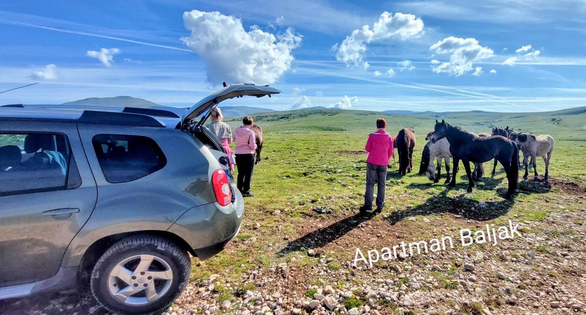 Apartman Baljak Livno Εξωτερικό φωτογραφία