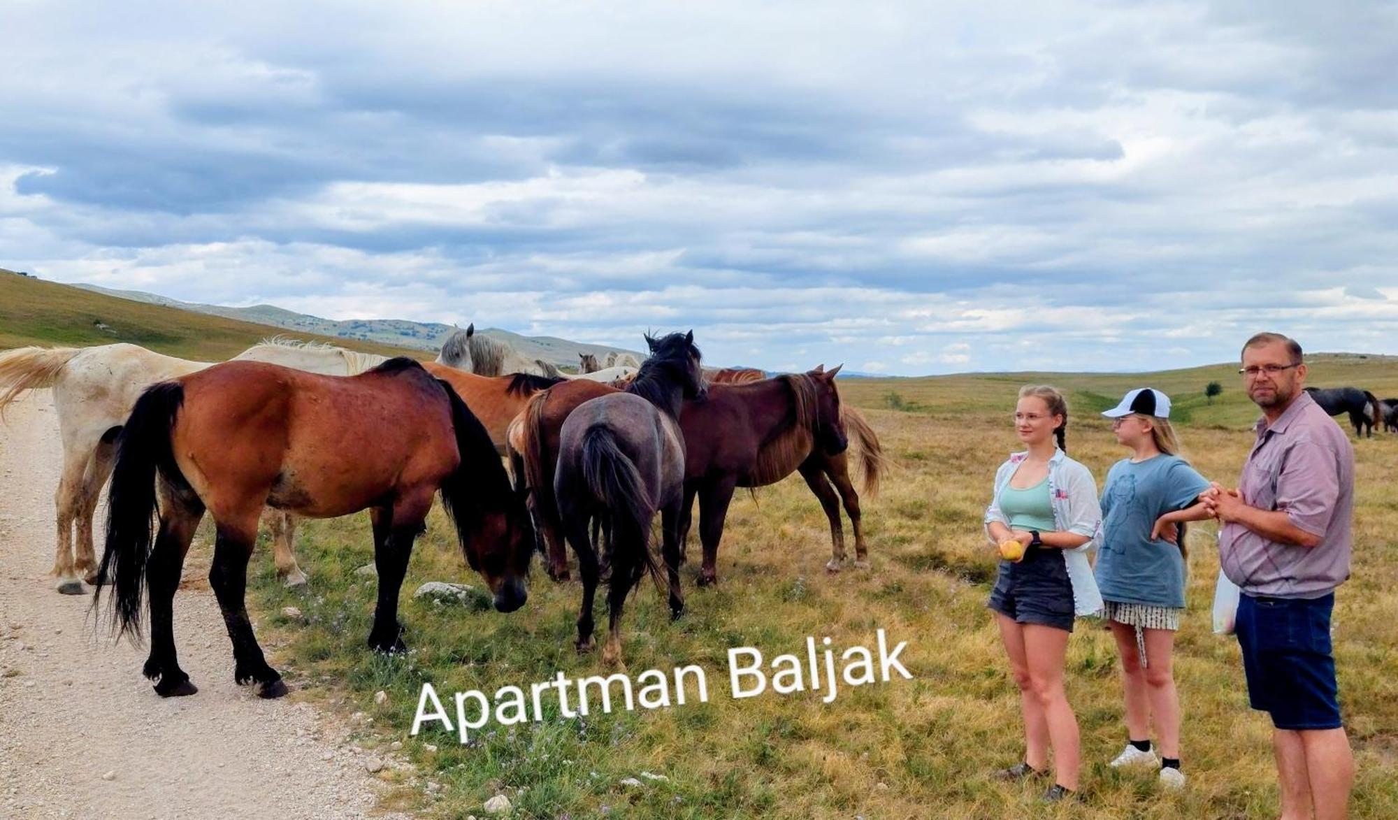 Apartman Baljak Livno Εξωτερικό φωτογραφία